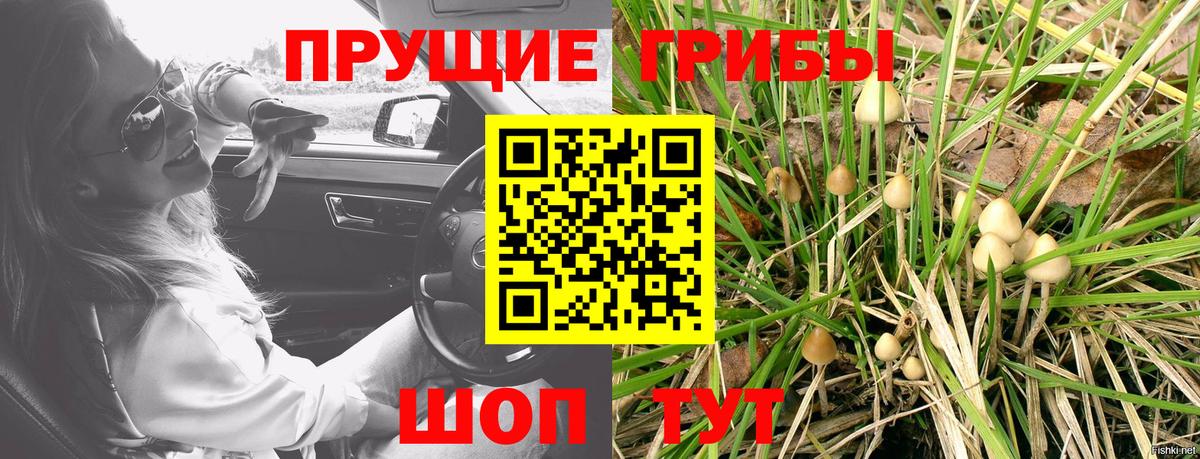 Галлюциногенные грибы ЛСД Моршанск