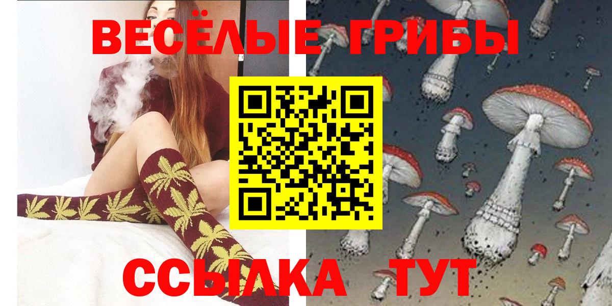 Моршанск  Галлюциногенные грибы Cubensis  Вход с VPN 