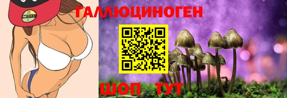 Псилоцибиновые грибы GOLDEN TEACHER Моршанск